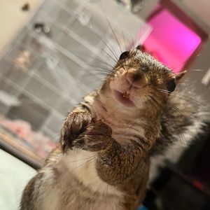 Meet your Posher, Clair